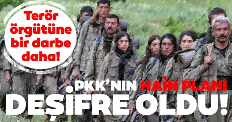 PKK’nın hain planı deşifre oldu! TİM’ler bölgeyi ablukaya aldı