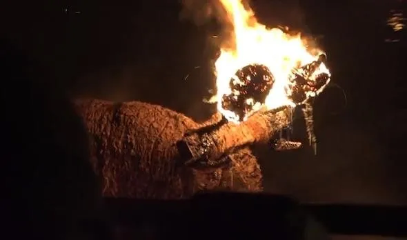 Böyle bir vahÅet görülmedi... Diri diri yaktılar...