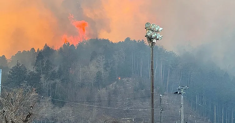 Japonya’daki orman yangını 5’inci gününde: 1800 hektarlık alan kül oldu