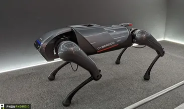 Yaşlanan nesil, robotlara emanet