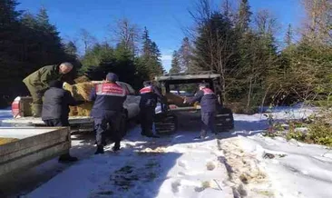 Jandarma yaban hayvanları için sahada