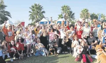 Hayvanseverler 1.5 ton mama aldı