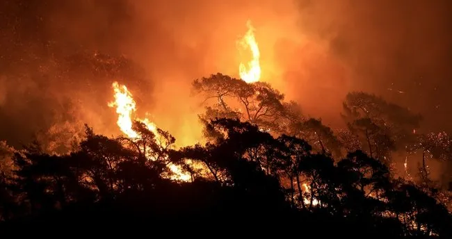 Dünya yanıyor! Korkutan orman yangını raporu açıklandı - Son Dakika Haberler
