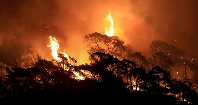 Dünya yanıyor! Korkutan orman yangını raporu açıklandı - Son Dakika Haberler