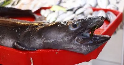 Çanakkale’de görenleri şaşkına çevirdi: 1.5 metrelik yılan balığı yakalandı