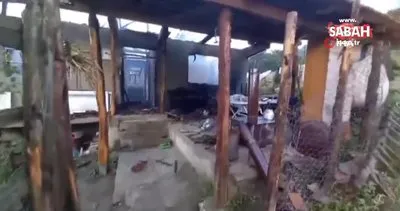 Sinop’ta akıl almaz olay! Önce öldürüldüler, sonrasında ise evleri yakıldı | Video