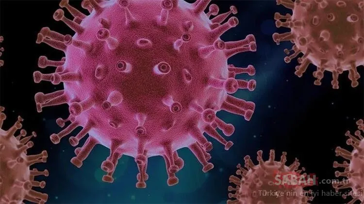SON DAKİKA: O ülkede akılalmaz corona virüsü olayı! Domates salçası yedi ve…