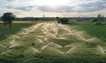 Bitkisel üretimde artış öngörüsü