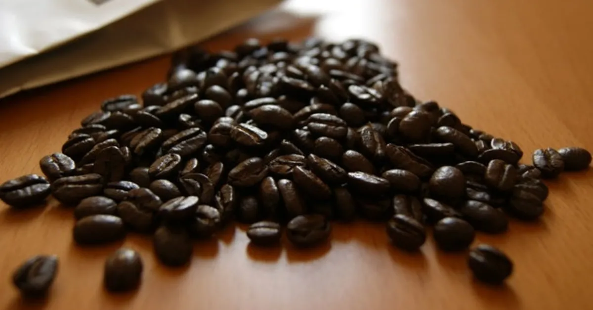 Kilosu Bin Dolar Iste Dunyanin En Pahali Kahvesi Galeri Ekonomide Bugun