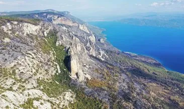 Muğla’daki orman yangınında 200 hektarlık alan zarar gördü: Acı tablo böyle görüntülendi!