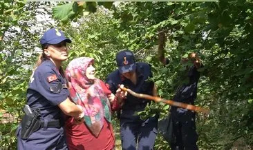 Şehit annesine büyük vefa: Fındıklarını jandarma topladı #bartin