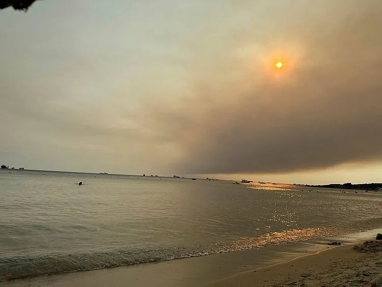 Son dakika: Bakan Yumaklı duyurdu! Çanakkale ve Eskişehir’deki orman yangınları kontrol altına alındı