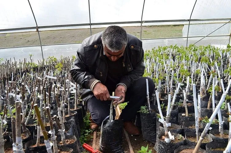 Bitlisli çiftçi gen bahçesi kuracak