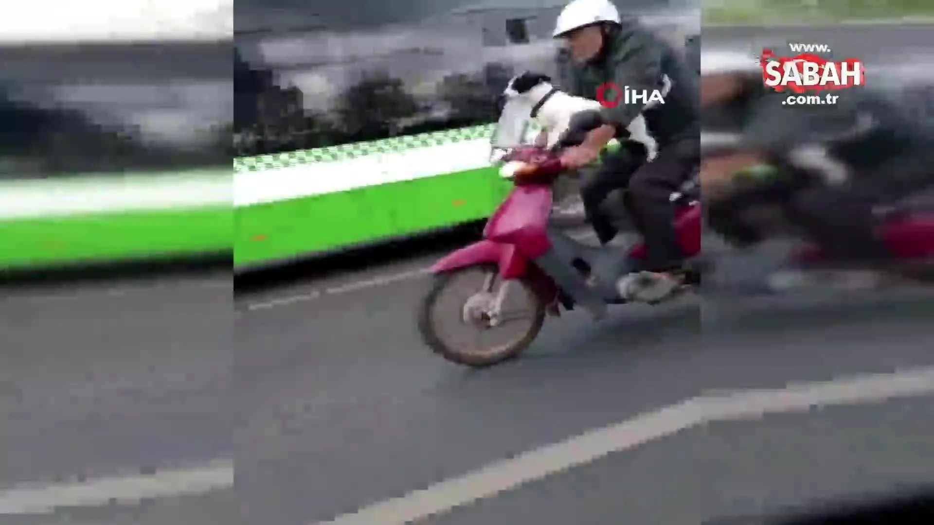 Motosikletli Kopek Kamerada Video Videosunu Izle Son Dakika Haberleri