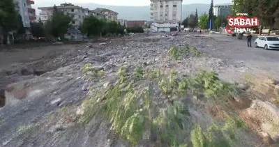 Depremde çöken kuruyemiş dükkanı enkazında kalan ayçiçekleri boy verdi | Video