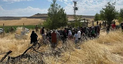 Narin Güran soruşturmasında yeni gelişme: Adli Tıp raporu 3 gün içinde tamamlanacak! Toksikolojik, patolojik, biyolojik inceleme…