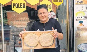 Korktuğu arılar geçim kapısı oldu