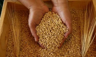 Van’da 569 üreticiye 802 ton sertifikalı arpa tohumu dağıtıldı