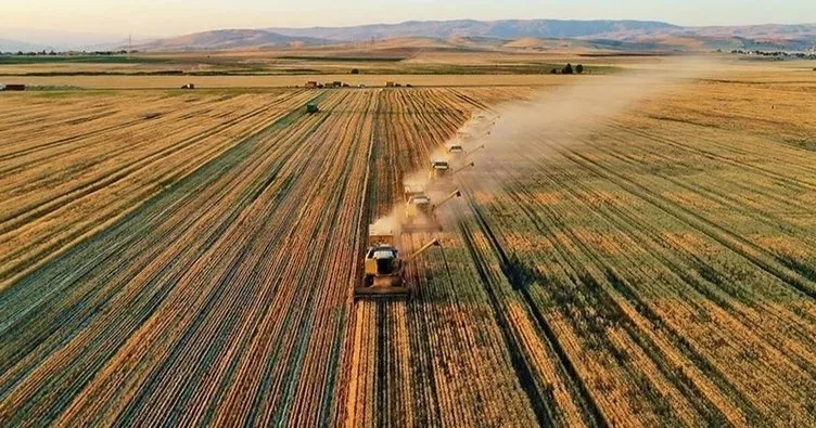 Bakan Kirişci ’Tarihin en yüksek oranı’ diyerek duyurdu: Tarım ürünleri ihracatında rekor