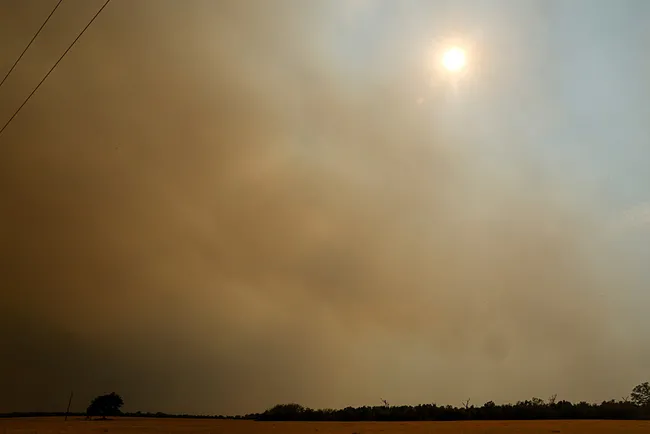 el-nino-el-salvadoru-vurdu-ulkede-kirmizi-alarm-ilan-edildi-1787769938044.jpg 'El Nino' El Salvador'u vurdu: Ülkede