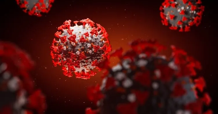 Son dakika haberi: Sıradaki salgın bu virüslerden çıkabilir! Koronavirüs salgınına yön verecek araştırma sonucu!