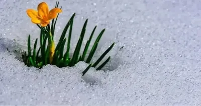 Cemre düşme tarihleri 2026 | Baharın müjdecisi! İlk cemre ne zaman ve nereye düşecek?