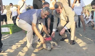 Çipli carettalar denizle buluştu