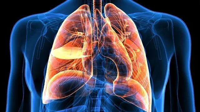 Akciğerleri 3 günde temizleyen yöntem