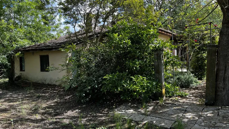 Korhan Berzeg böyle defnedilecek: 12 kemik ve kafatası!