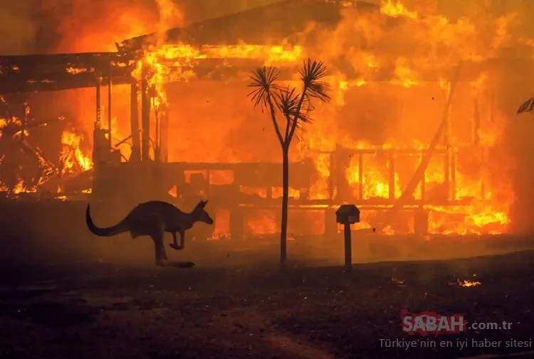 Son Dakika: Avustralya’daki yangın ile ilgili korkutan açıklama! Avustralya’daki yangın neden söndürülemiyor?