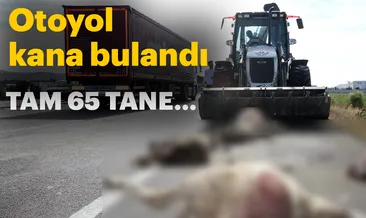 Otoyol kana bulandı! Tam 65 tane...