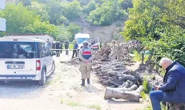 Eşini odunla döverek öldürdü