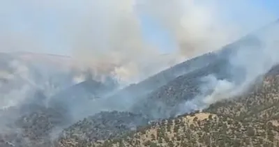 Salihli’de orman yangını