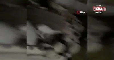 Manisa’da 5.2’lik depremi önceden haber veren koyunların görüntüleri şoke etti | Video