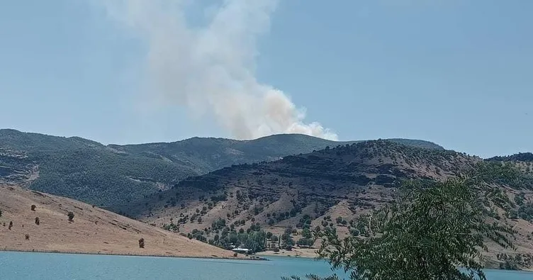 Tunceli’de orman yangını