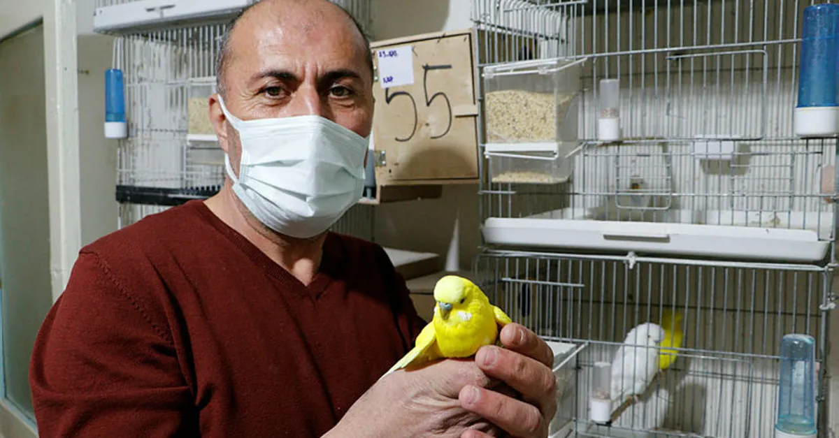 Iki Cift Ile Basladi 50 Muhabbet Kusu Oldu Son Dakika Yasam Haberleri