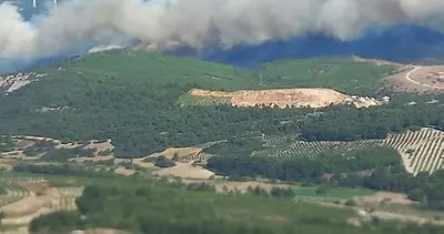 SON DAKİKA: Manisa Soma’da ve Mersin’de orman yangını: 2 mahalle ile 110 hane tahliye edildi