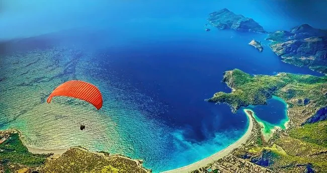akdeniz iklimi bitki