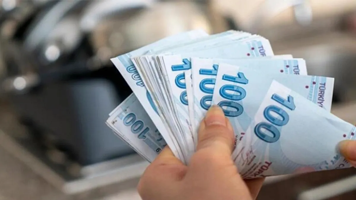 Türk Lirasına tam destek! Yeni OVP döneminde TL cinsinden yatırım araçları teşvik edilecek