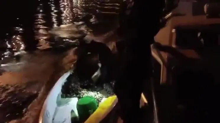 Midye avcıları suçüstü yakalandı!