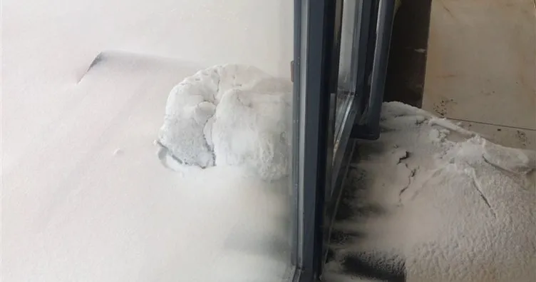 Ardahan’da şaşkına çeviren görüntü! Sokak köpeği karla kaplandı...