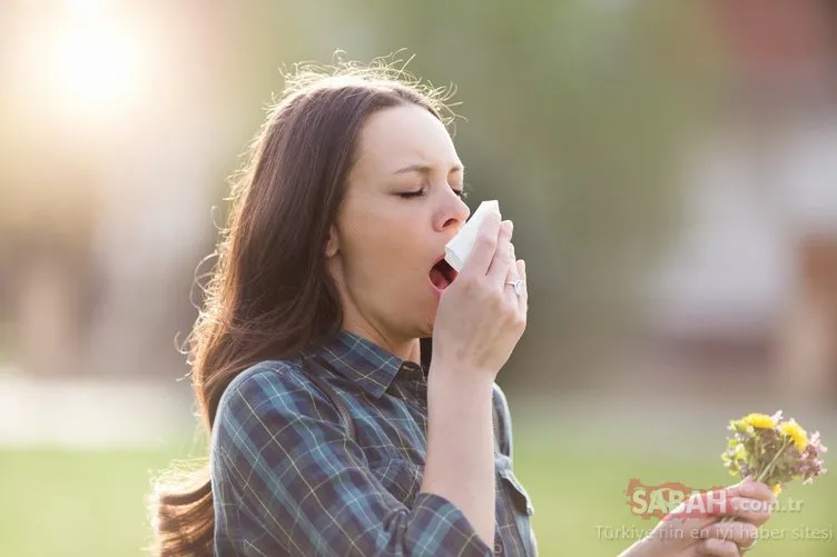 Yaz mevsiminde en sık görülen 6 alerji...