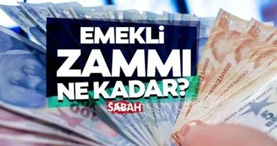 EMEKLİ ZAMMI SON DAKİKA | 2024 SSK, Bağ-kur, Memur emeklilerine sağlanacak zam ne kadar olacak, zam % oranı kaç?