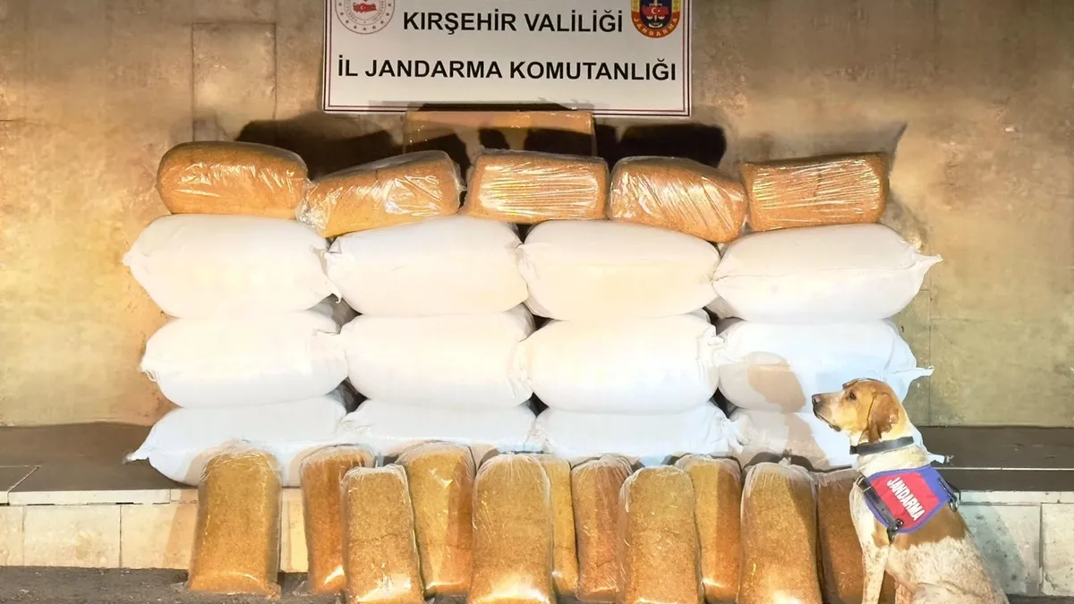 Kırşehir’de 633 Kilogram kaçak tütün ele geçirildi Kırşehir’de 633 Kilogram kaçak tütün ele geçirildi
