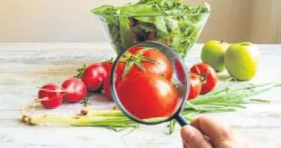 Sağlıklı gıda için evde yapılacaklar