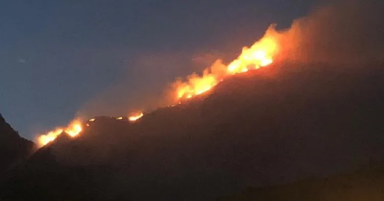 Bodrum’da otluk alanda yangın