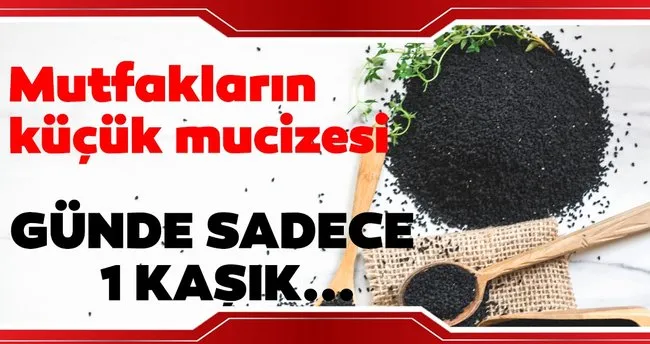Corek Otunun Faydalari Nelerdir Neye Iyi Gelir Corek Otu Yagi Nasil Kullanilir Zayiflatir Mi Saglik Haberleri