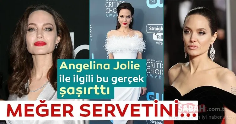 Angelina Jolie ile ilgili bu gerçek şaşırttı! Meğer 100 milyon dolarlık servetini böyle harcıyormuş
