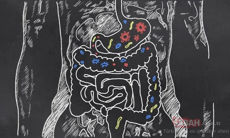 Bu diyetle mikrobiyotanızı düzenleyip 5 günde yağdan 2 kilo vereceksiniz