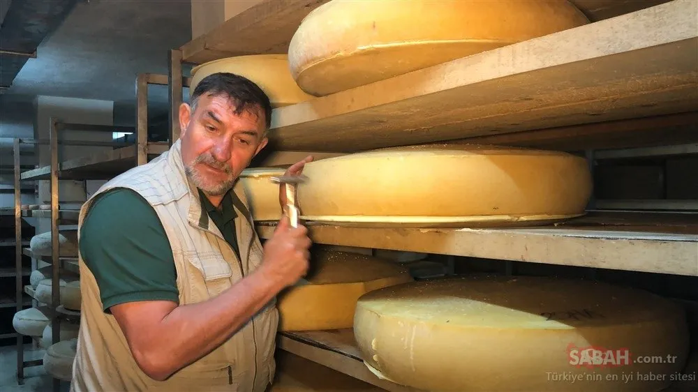 Gercek Kars Kasari Ve Gravyeri Nasil Anlasilir En Son Haber